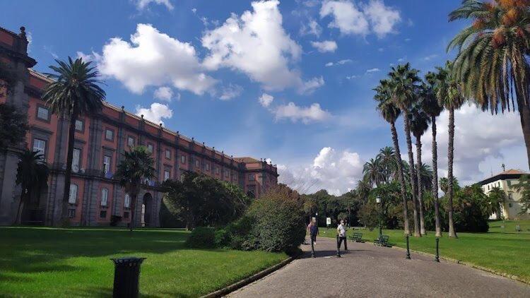 Cagnazzi Naples